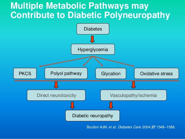 Diabetes Type 2 American Family Physician Diabetes Type 2 American Family Physician