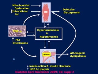 Hyperinsulinemia
Hyperglycemia
FFA
Interleukins
Mitochondrial
Dysfunction
Intracellular
fat
Defective
Glycogenesis
Diabetes Care November 2009; 32: suppl 2
NAFLD
&
insulin action & insulin clearance
HGP & Lipolysis
TNF-a
Atherogenic
dyslipidemia
 
