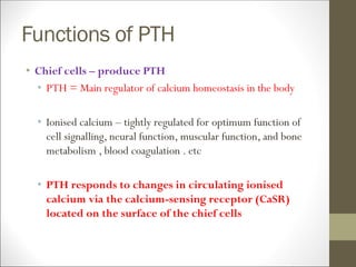 Functions of PTH
• Chief cells – produce PTH
• PTH = Main regulator of calcium homeostasis in the body
• Ionised calcium – tightly regulated for optimum function of
cell signalling, neural function, muscular function, and bone
metabolism , blood coagulation . etc
• PTH responds to changes in circulating ionised
calcium via the calcium-sensing receptor (CaSR)
located on the surface of the chief cells
 