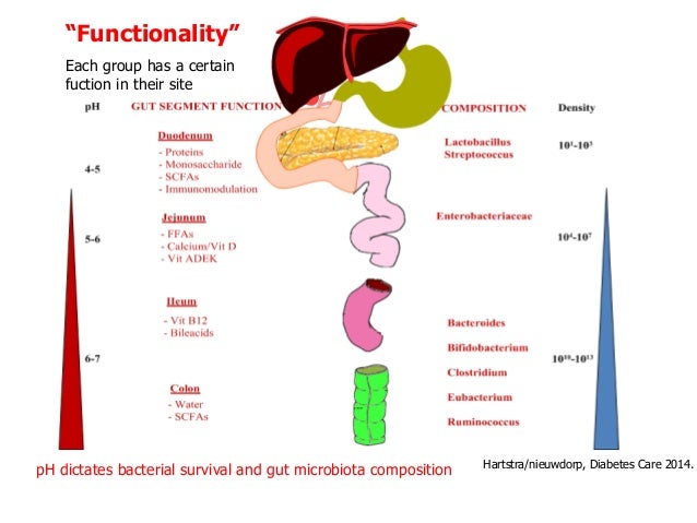 Ueda2016 the role of gut microbiota in the pathogenesis of obesity &a…