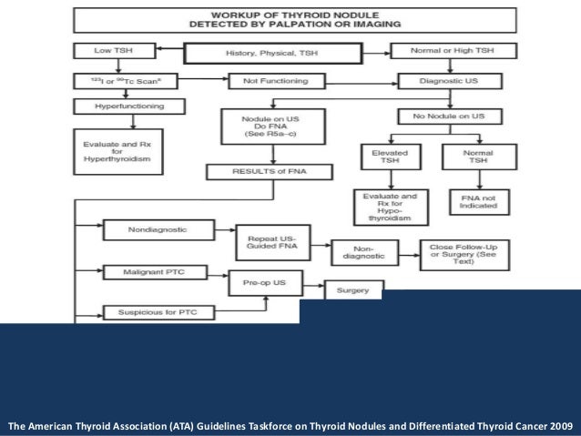 Thyroid guidelines