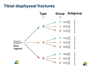 Tibial diaphyseal fractures
Type Group Subgroup
 