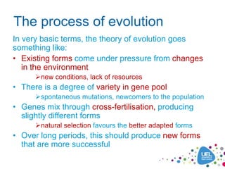 The process of evolution
In very basic terms, the theory of evolution goes
something like:
• Existing forms come under pressure from changes
   in the environment
      new conditions, lack of resources
• There is a degree of variety in gene pool
      spontaneous mutations, newcomers to the population
• Genes mix through cross-fertilisation, producing
  slightly different forms
      natural selection favours the better adapted forms
• Over long periods, this should produce new forms
  that are more successful
 