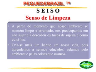 PEQUEDEBRAZIL ™
S E I S O
Senso de Limpeza
• A partir do momento que nosso ambiente se
mantém limpo e arrumado, nos preocupamos em
não sujar e a descobrir os focos de sujeira e como
evitá-los.
• Cria-se mais um hábito em nossa vida, pois
aprendemos a sermos educados, zelamos pelo
ambiente e pelas coisas que usamos.
 