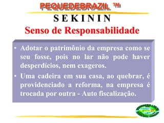 PEQUEDEBRAZIL ™
S E K I N I N
Senso de Responsabilidade
• Adotar o patrimônio da empresa como se
seu fosse, pois no lar não pode haver
desperdícios, nem exageros.
• Uma cadeira em sua casa, ao quebrar, é
providenciado a reforma, na empresa é
trocada por outra - Auto fiscalização.
 