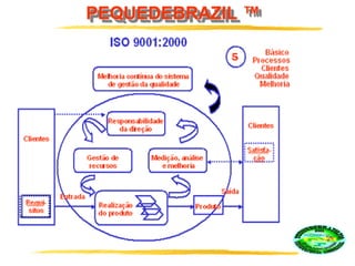 PEQUEDEBRAZIL ™
 