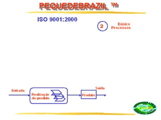 PEQUEDEBRAZIL ™
.
 