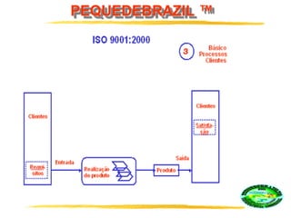PEQUEDEBRAZIL ™
 