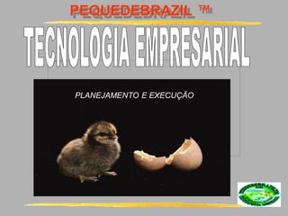 PEQUEDEBRAZIL ™
PLANEJAMENTO E EXECUÇÃO
 