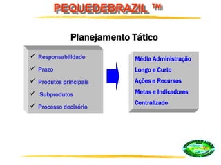 PEQUEDEBRAZIL ™
Média Administração
Longo e Curto
Ações e Recursos
Metas e Indicadores
Centralizado
Planejamento Tático
 Responsabilidade
 Prazo
 Produtos principais
 Subprodutos
 Processo decisório
 