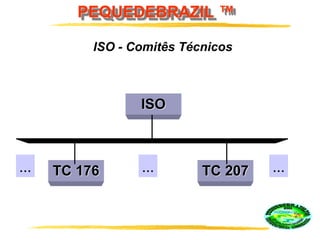 PEQUEDEBRAZIL ™
ISO
TC 176 TC 207... ......
ISO - Comitês Técnicos
 