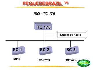 PEQUEDEBRAZIL ™
ISO - TC 176
TC 176
SC 3SC 2SC 1
9000 9001/94 10000´s
Grupos de Apoio
 