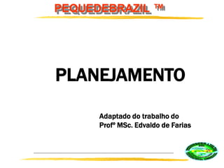 PEQUEDEBRAZIL ™
PLANEJAMENTO
Adaptado do trabalho do
Profº MSc. Edvaldo de Farias
 