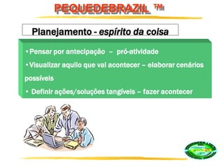 PEQUEDEBRAZIL ™
Planejamento - espírito da coisa
•Pensar por antecipação – pró-atividade
•Visualizar aquilo que vai acontecer – elaborar cenários
possíveis
• Definir ações/soluções tangíveis – fazer acontecer
 