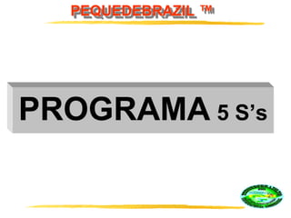 PEQUEDEBRAZIL ™
PROGRAMA 5 S’s
 