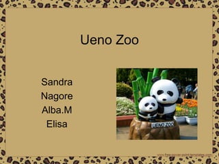 Ueno Zoo
Sandra
Nagore
Alba.M
Elisa
 