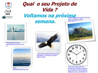 Qual o seu Projeto de
Vida ?
Voltamos na próxima
semana.
Fonte: Horário de verão 2017
começa neste domingo; moradores
de 10 estados e DF devem adiantar
relógio em 1 hora - Jornal Café com
Fonte:
MAR MARCANTEUrban Arts
Fonte:5 montanhas lindas no Brasil para
visitar - Geografia - Colégio
Webcolegioweb.com.br
Fonte: Quais características você tem do
perfil Águia? - Ser Melhor e PlenoSer
Melhor e Pleno
Fonte: Artigo: A fé move
montanhashoroscopovirtual.com
.br
 