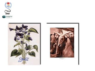 Pensar diferente, visão de futuro
e flexibilidade e paradigmas.
 