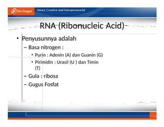 UEU-Course-23762-PPT 10-Genetika dan pewarisan sifat (Pertemuan Ke-10 ...