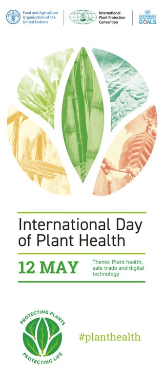 International Day
of Plant Health
Theme: Plant health,
safe trade and digital
technology
12 MAY
#planthealth
International
Plant Protection
Convention
 