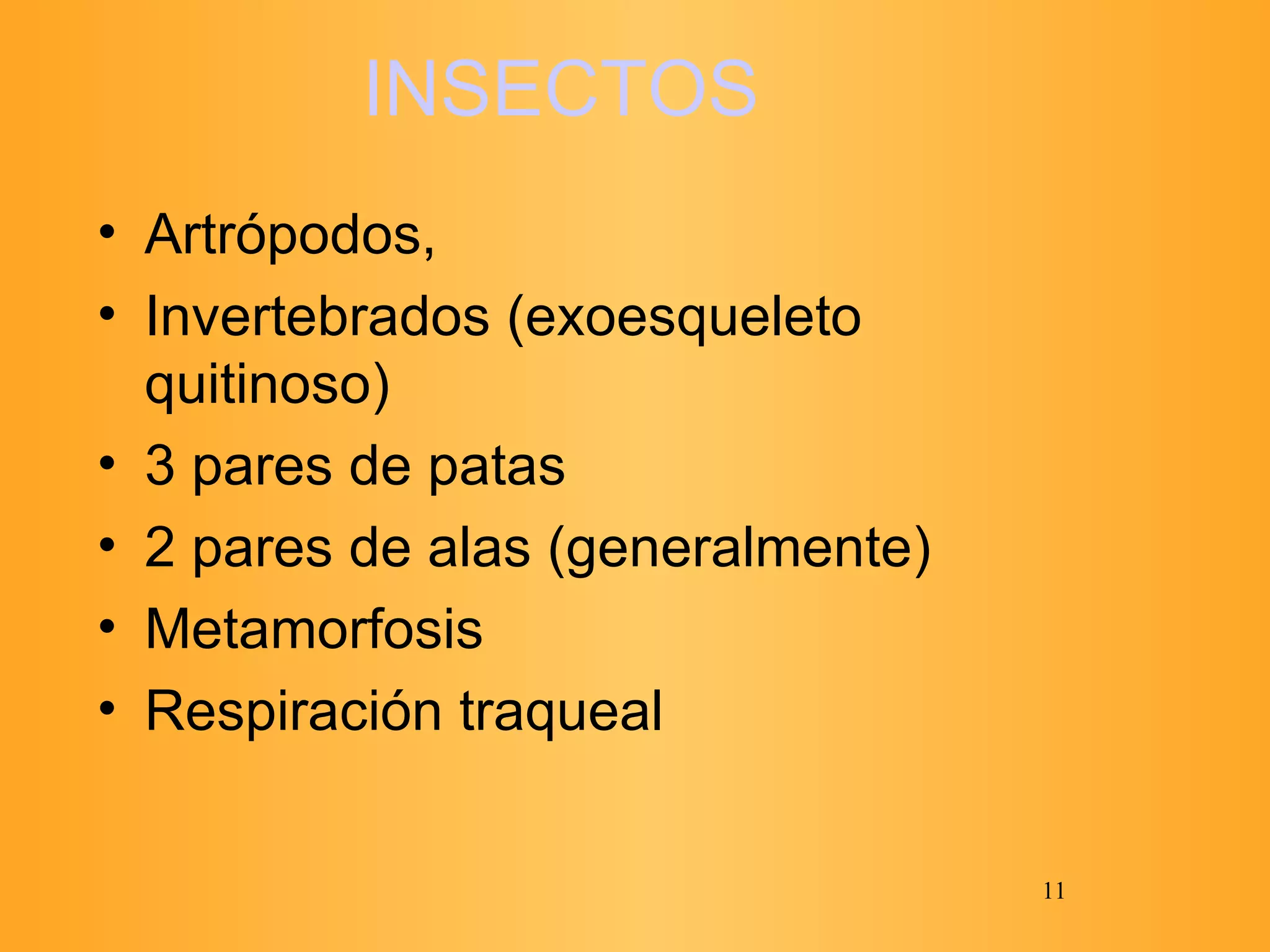 INSECTOS Artrópodos,  Invertebrados (exoesqueleto quitinoso) 3 pares de patas 2 pares de alas (generalmente) Metamorfosis  Respiración traqueal 