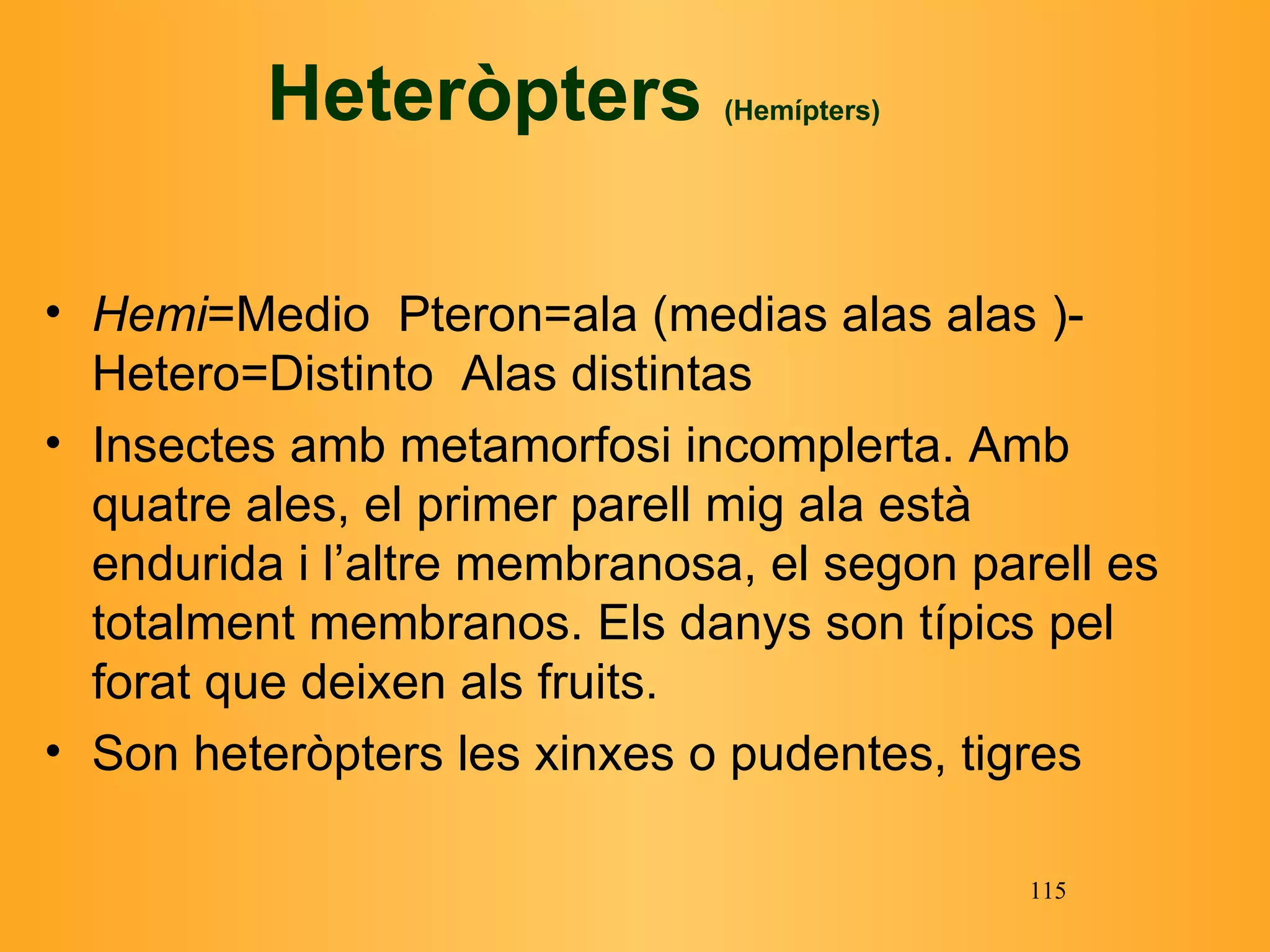 Heteròpters  (Hemípters) Hemi =Medio  Pteron=ala (medias alas alas )-Hetero=Distinto  Alas distintas I nsectes amb metamorfosi incomplerta. Amb quatre ales, el primer parell mig ala està endurida i l’altre membranosa, el segon parell es totalment membranos. Els danys son típics pel forat que deixen als fruits. Son heteròpters les xinxes o pudentes, tigres 