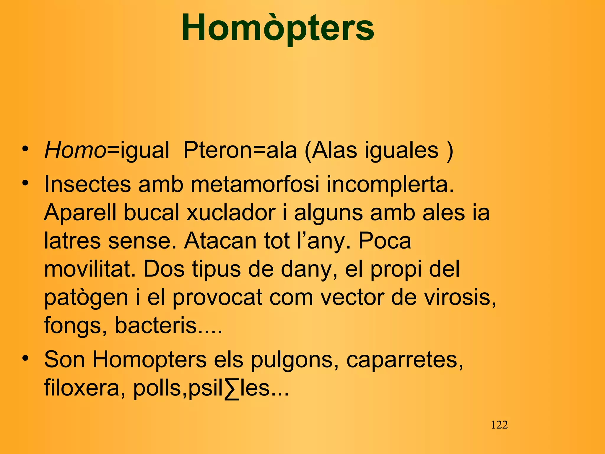 Homòpters Homo =igual  Pteron=ala (Alas iguales ) I nsectes amb metamorfosi incomplerta. Aparell bucal xuclador i alguns amb ales ia latres sense. Atacan tot l’any. Poca movilitat. Dos tipus de dany, el propi del patògen i el provocat com vector de virosis, fongs, bacteris.... Son Homopters els pulgons, caparretes, filoxera, polls,psil·les... 