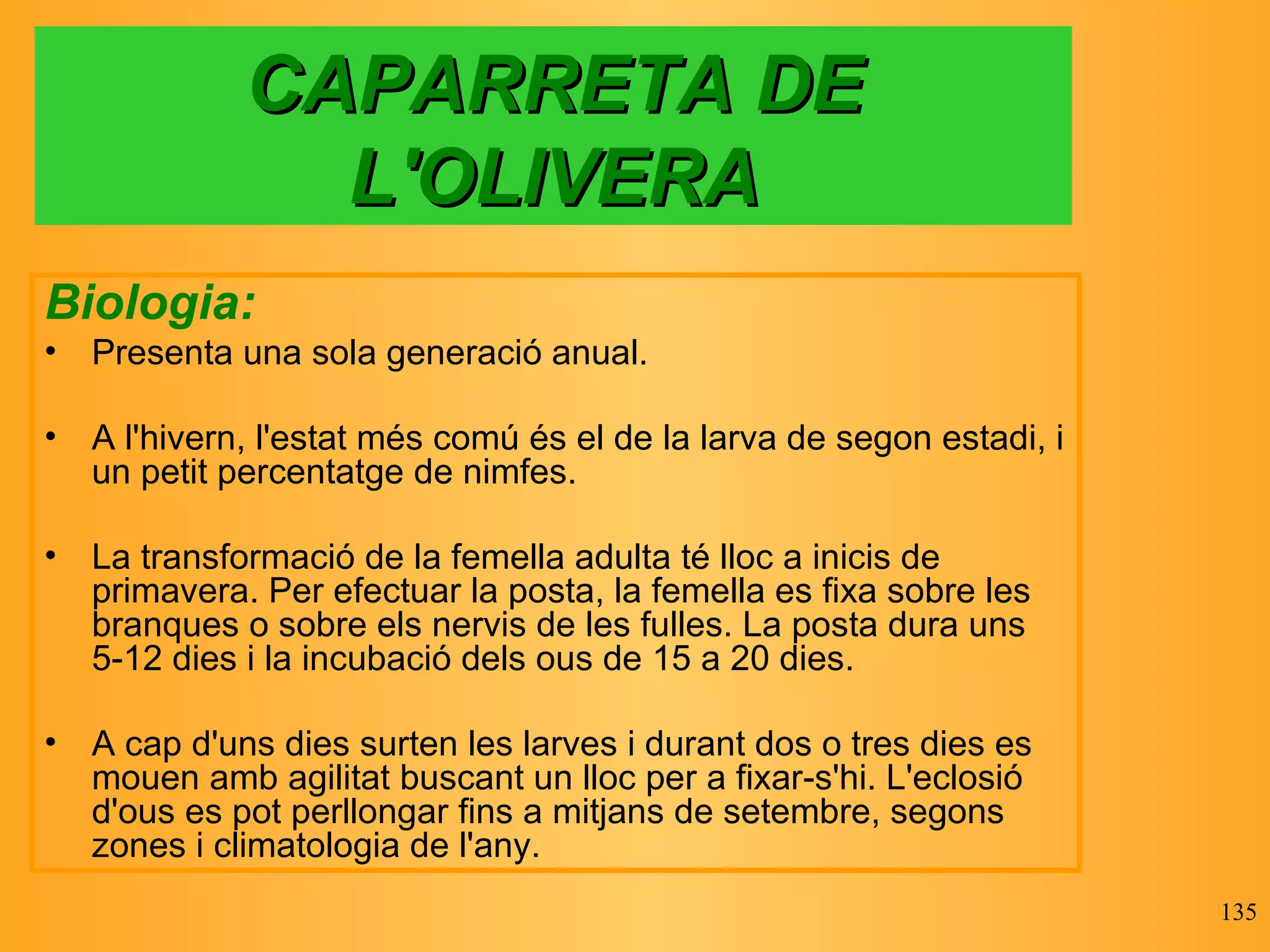 CAPARRETA DE L'OLIVERA Biologia: Presenta una sola generació anual. A l'hivern, l'estat més comú és el de la larva de segon estadi, i un petit percentatge de nimfes. La transformació de la femella adulta té lloc a inicis de primavera. Per efectuar la posta, la femella es fixa sobre les branques o sobre els nervis de les fulles. La posta dura uns 5-12 dies i la incubació dels ous de 15 a 20 dies. A cap d'uns dies surten les larves i durant dos o tres dies es mouen amb agilitat buscant un lloc per a fixar-s'hi. L'eclosió d'ous es pot perllongar fins a mitjans de setembre, segons zones i climatologia de l'any. 