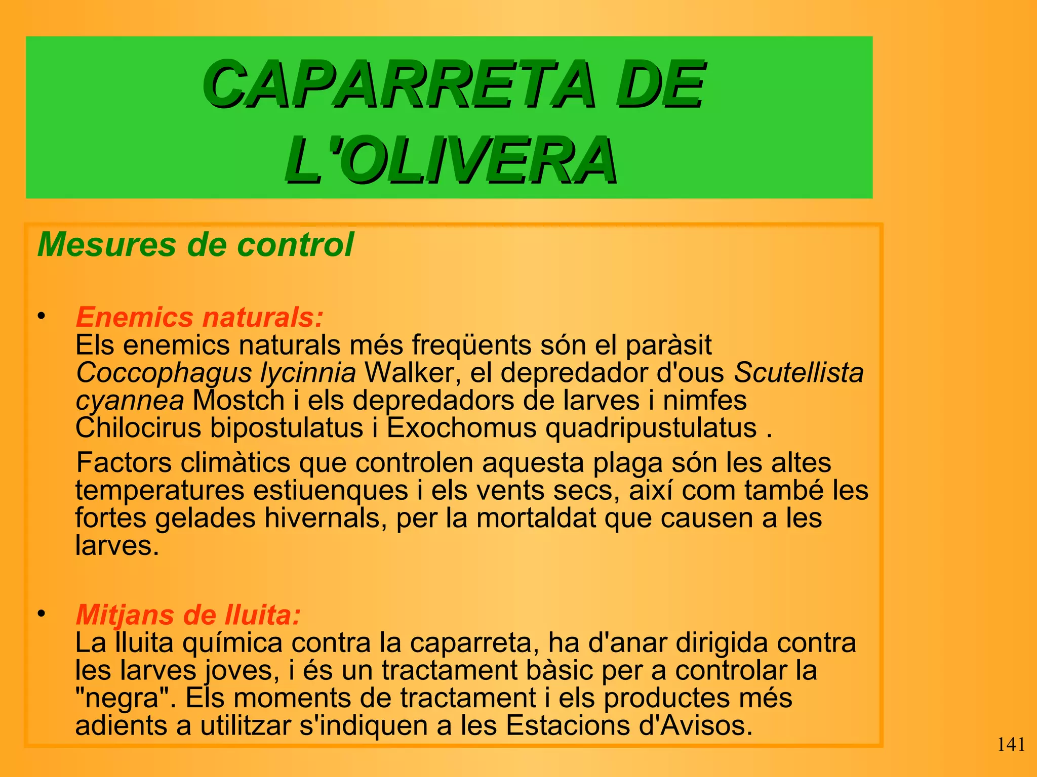 CAPARRETA DE L'OLIVERA Mesures de control Enemics naturals: Els enemics naturals més freqüents són el paràsit  Coccophagus lycinnia  Walker, el depredador d'ous  Scutellista cyannea  Mostch i els depredadors de larves i nimfes Chilocirus bipostulatus i Exochomus quadripustulatus . Factors climàtics que controlen aquesta plaga són les altes temperatures estiuenques i els vents secs, així com també les fortes gelades hivernals, per la mortaldat que causen a les larves. Mitjans de lluita: La lluita química contra la caparreta, ha d'anar dirigida contra les larves joves, i és un tractament bàsic per a controlar la "negra". Els moments de tractament i els productes més adients a utilitzar s'indiquen a les Estacions d'Avisos.  