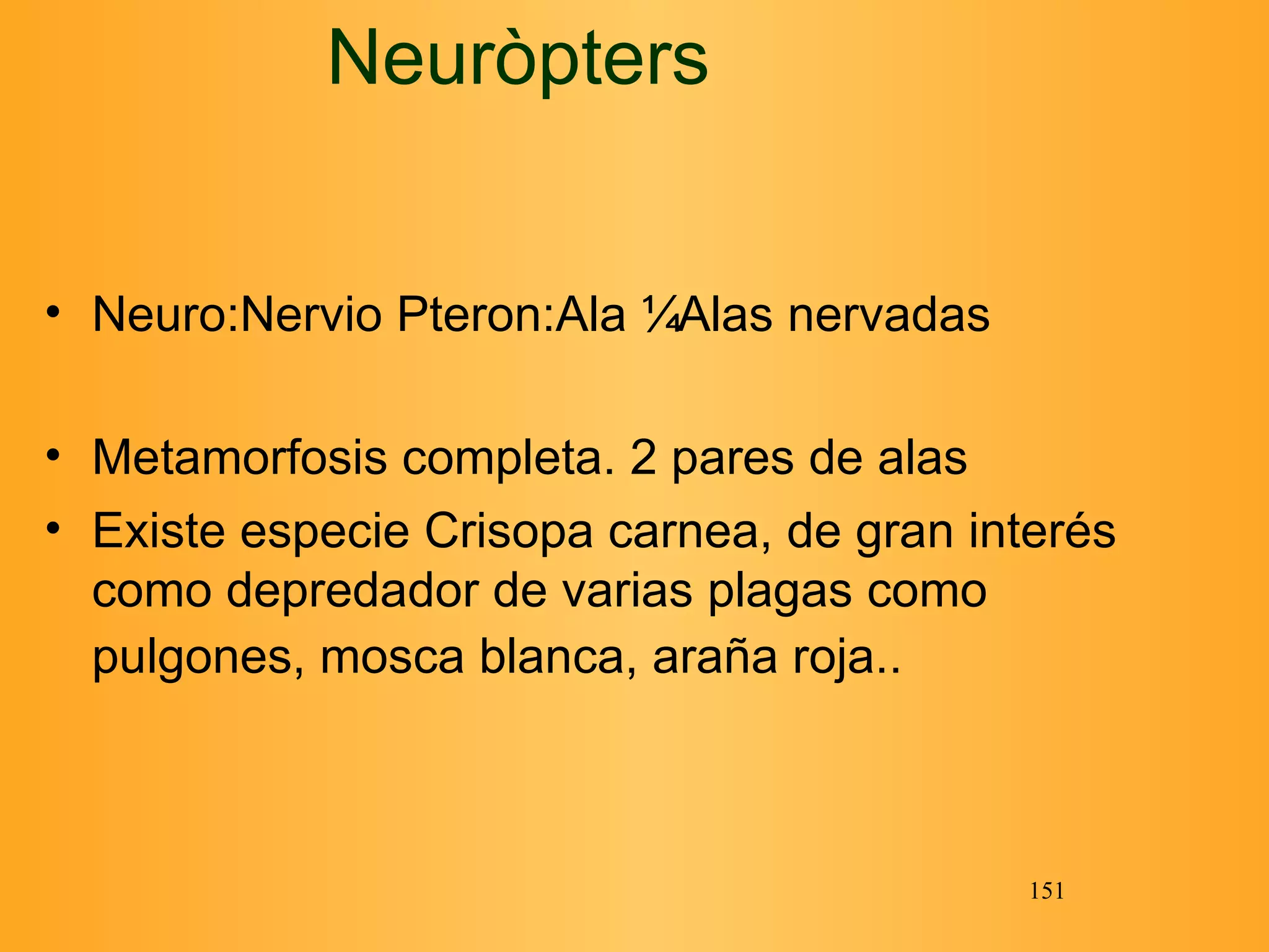 Neuro:Nervio Pteron:Ala Alas nervadas Metamorfosis completa. 2 pares de alas Existe especie Crisopa carnea, de gran interés como depredador de varias plagas como pulgones, mosca blanca, araña roja..   Neuròpters 