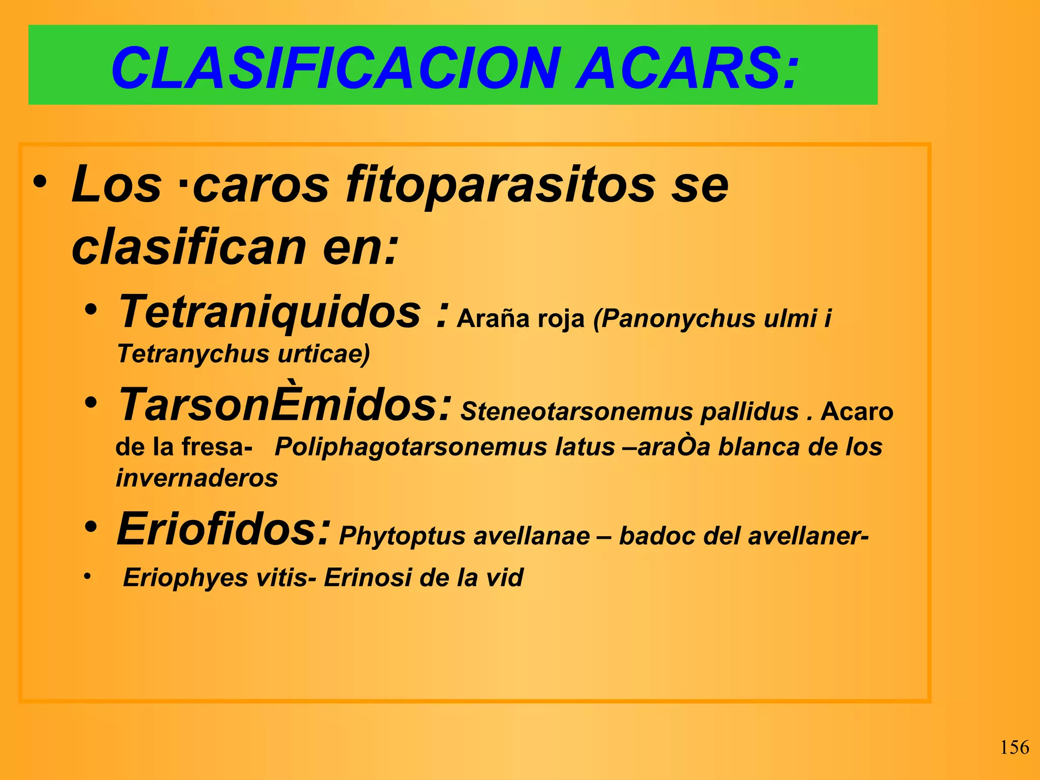 CLASIFICACION ACARS: Los ácaros fitoparasitos se clasifican en: Tetraniquidos :   Araña roja  (Panonychus ulmi i Tetranychus urticae) Tarsonémidos:  Steneotarsonemus pallidus .  Acaro de la fresa-   Poliphagotarsonemus latus –araña blanca de los invernaderos Eriofidos:  Phytoptus avellanae – badoc del avellaner- Eriophyes vitis- Erinosi de la vid 