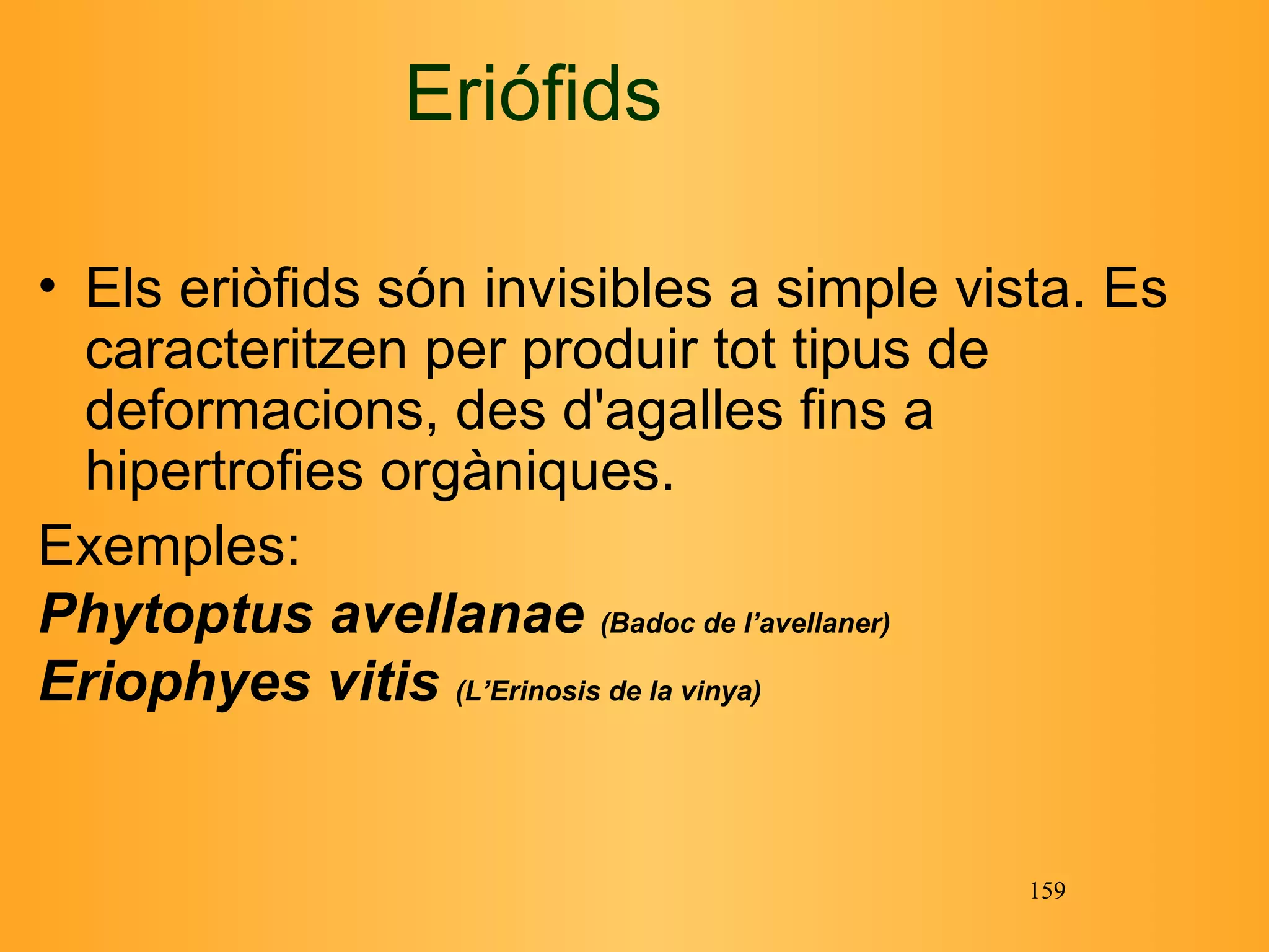 Eriófids Els eriòfids són invisibles a simple vista. Es caracteritzen per produir tot tipus de deformacions, des d'agalles fins a hipertrofies orgàniques. Exemples: Phytoptus avellanae  (Badoc de l’avellaner) Eriophyes vitis  (L’Erinosis de la vinya) 