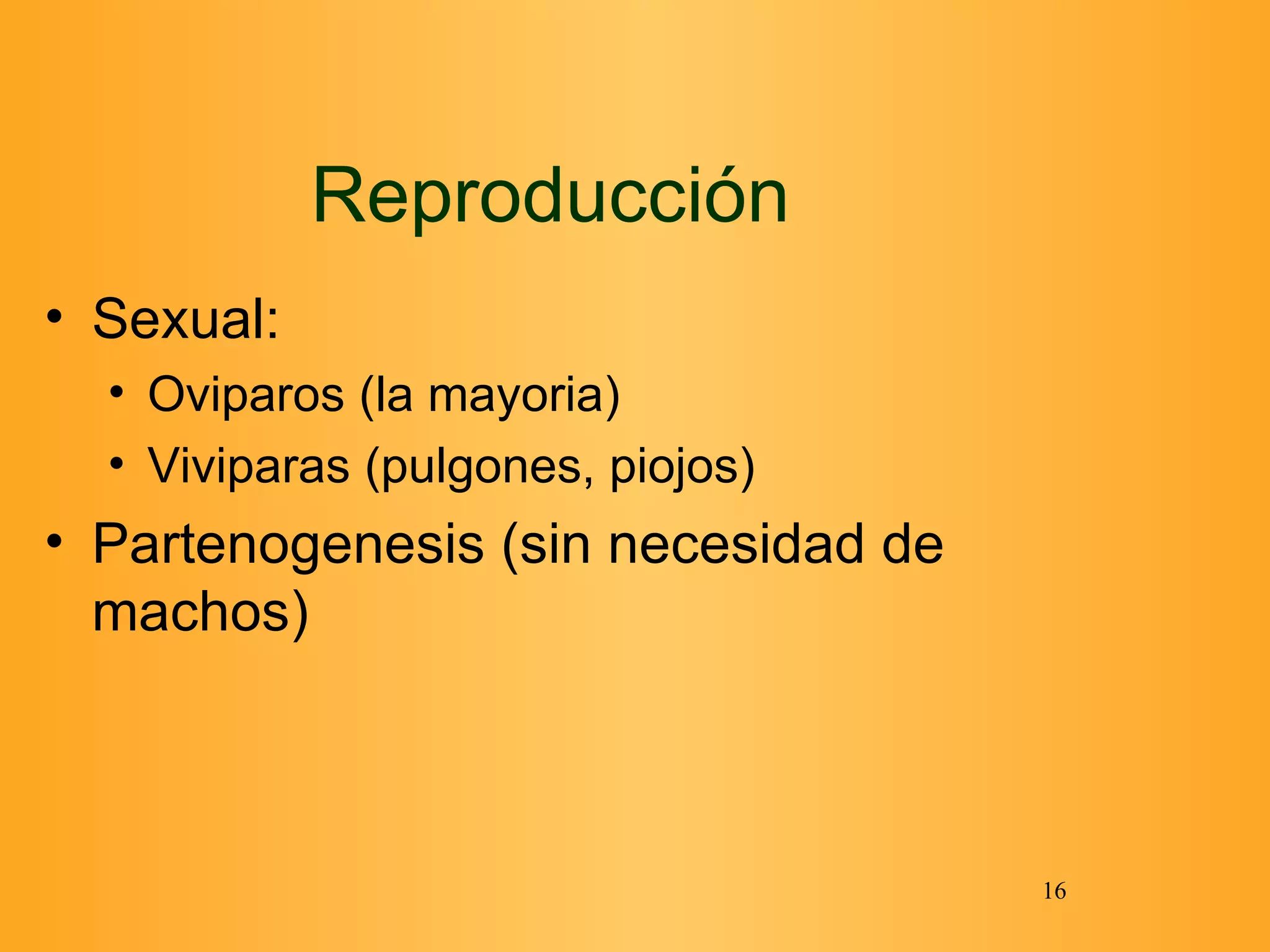 Reproducción Sexual: Oviparos (la mayoria) Viviparas (pulgones, piojos) Partenogenesis (sin necesidad de machos) 