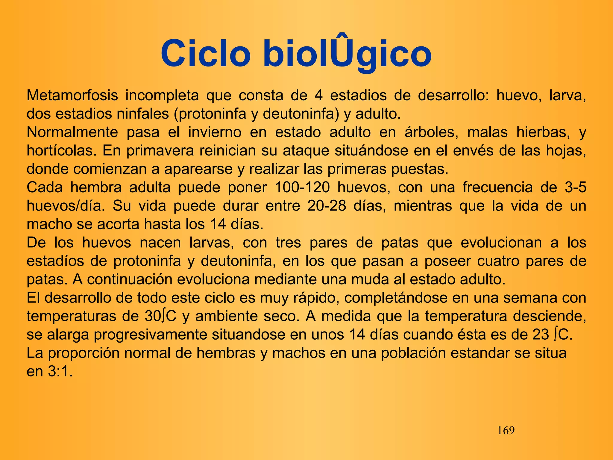 Ciclo biológico   Metamorfosis incompleta que  consta de 4 estad i os de desarrollo: huevo, larva, dos estadios ninfales (protoninfa y deutoninfa) y adulto. Normalmente pasa el invierno en estado adulto en árboles, malas hierbas, y hortícolas. En primavera reinician su ataque situándose en el envés de las hojas, donde comienzan a aparearse y realizar las primeras puestas. Cada hembra adulta puede poner 100-120 huevos, con una frecuencia de 3-5 huevos/día. Su vida puede durar entre 20-28 días, mientras que la vida de un macho se acorta hasta los 14 días. De los huevos nacen larvas, con tres pares de patas que evolucionan a los estadíos de protoninfa y deutoninfa, en los que pasan a poseer cuatro pares de patas. A continuación evoluciona mediante una muda al estado adulto. El desarrollo de todo este ciclo es muy rápido, completándose en una semana con temperaturas de 30ºC y ambiente seco. A medida que la temperatura desciende, se alarga progresivamente situandose en unos 14 días cuando ésta es de 23 ºC. La proporción normal de hembras y machos en una población estandar se situa en 3:1.  