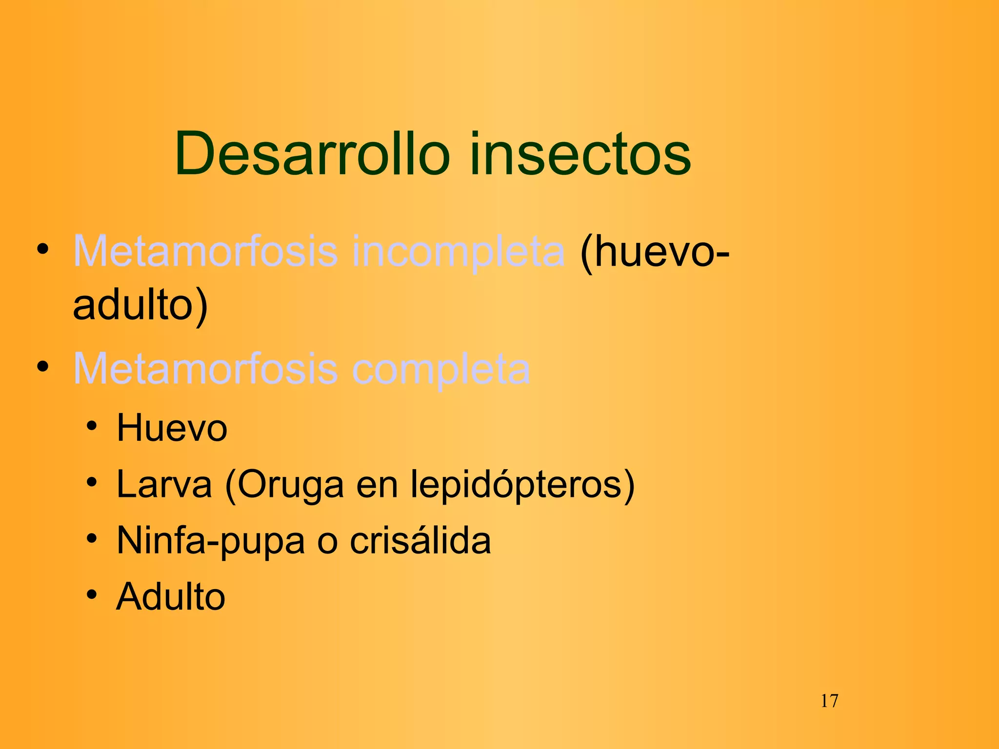 Desarrollo insectos Metamorfosis incompleta  (huevo-adulto) Metamorfosis completa Huevo Larva (Oruga en lepidópteros) Ninfa-pupa o crisálida Adulto 