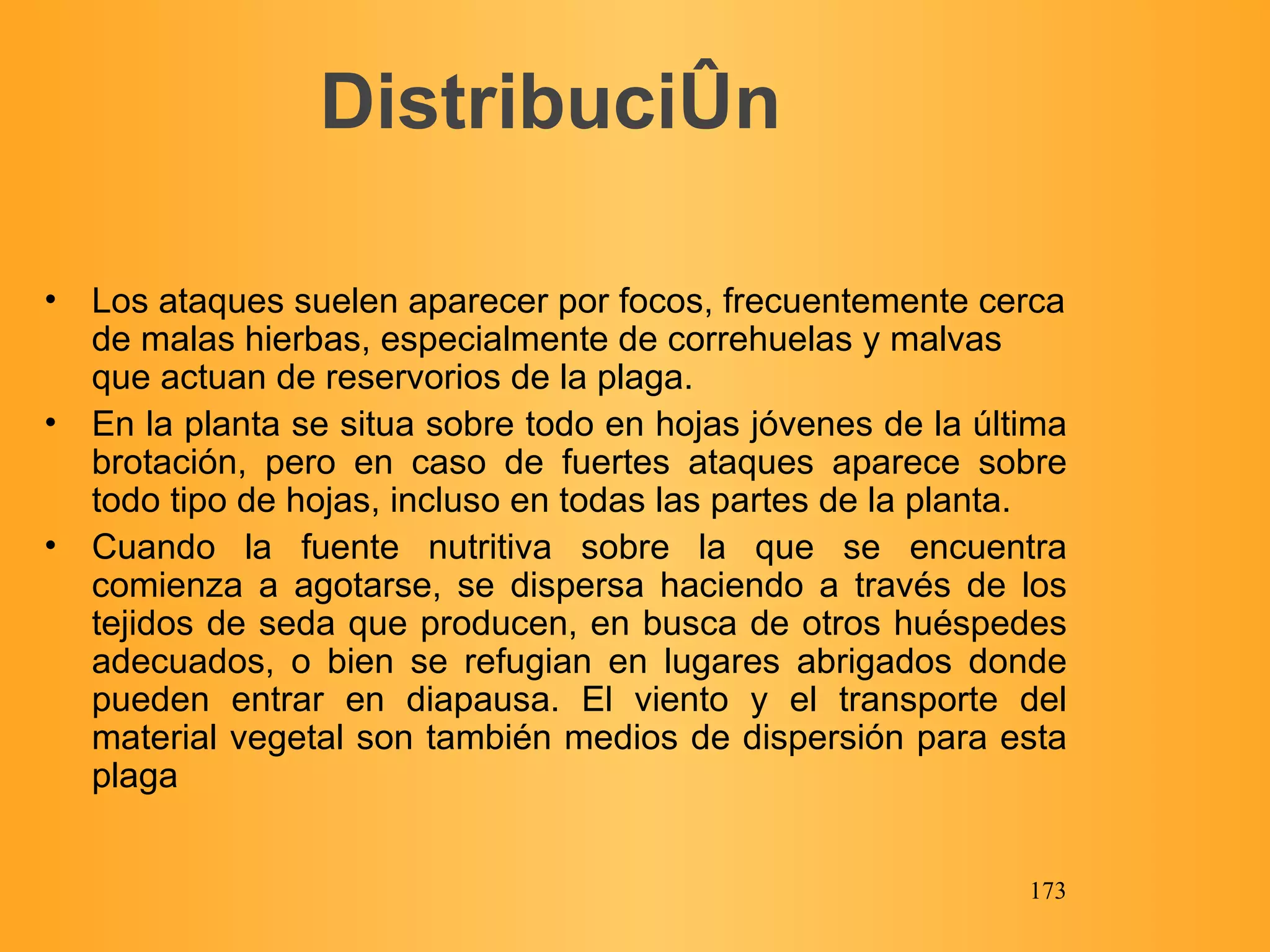 Distribución Los ataques suelen aparecer por focos, frecuentemente cerca de malas hierbas, especialmente de correhuelas y malvas que actuan de reservorios de la plaga. En la planta se situa sobre todo en hojas jóvenes de la última brotación, pero en caso de fuertes ataques aparece sobre todo tipo de hojas, incluso en todas las partes de la planta. Cuando la fuente nutritiva sobre la que se encuentra comienza a agotarse, se dispersa haciendo a través de los tejidos de seda que producen, en busca de otros huéspedes adecuados, o bien se refugian en lugares abrigados donde pueden entrar en diapausa. El viento y el transporte del material vegetal son también medios de dispersión para esta plaga 
