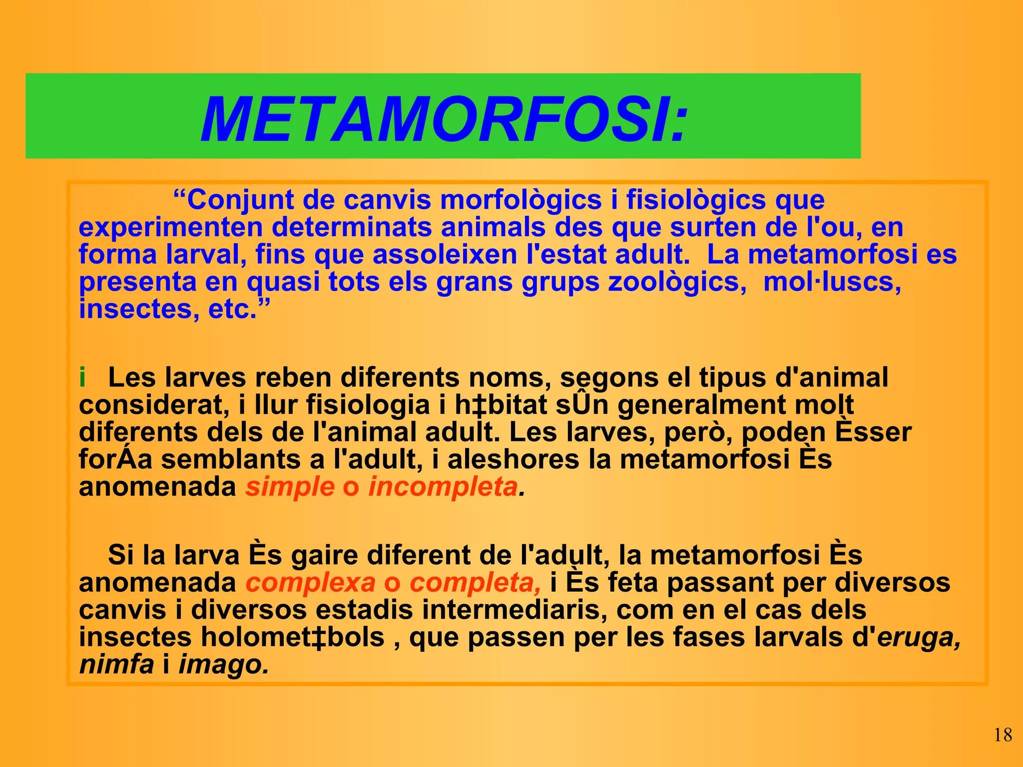 METAMORFOSI: “ Conjunt de canvis morfològics i fisiològics que experimenten determinats animals des que surten de l'ou, en forma larval, fins que assoleixen l'estat adult.  La metamorfosi es presenta en quasi tots els grans grups zoològics,  mol·luscs, insectes, etc.”    Les larves reben diferents noms, segons el tipus d'animal considerat, i llur fisiologia i hàbitat són generalment molt diferents dels de l'animal adult. Les larves, però, poden ésser força semblants a l'adult, i aleshores la metamorfosi és anomenada  simple  o  incompleta .    Si la larva és gaire diferent de l'adult, la metamorfosi és anomenada  complexa  o  completa,   i és feta passant per diversos canvis i diversos estadis intermediaris, com en el cas dels insectes holometàbols , que passen per les fases larvals d' eruga, nimfa  i  imago.   