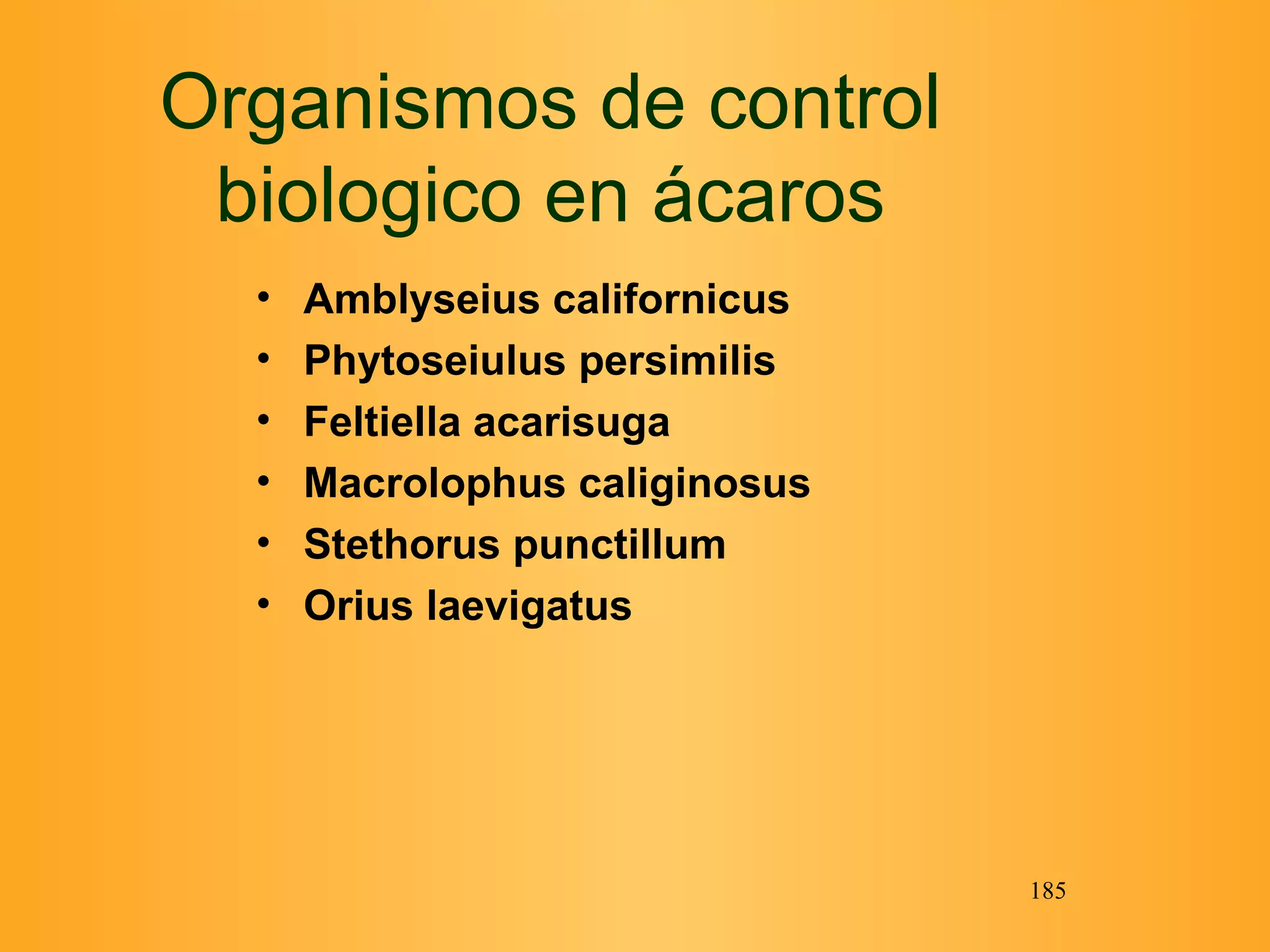 Organismos de control biologico en ácaros Amblyseius californicus Phytoseiulus persimilis  Feltiella acarisuga  Macrolophus caliginosus  Stethorus punctillum  Orius laevigatus 