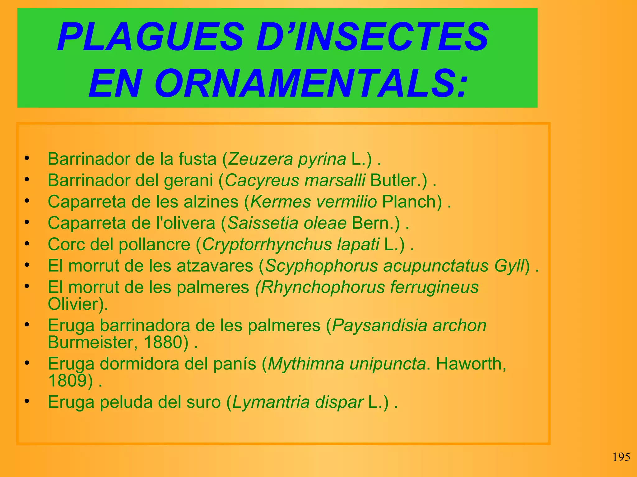 PLAGUES D’INSECTES  EN ORNAMENTALS: Barrinador de la fusta ( Zeuzera pyrina  L.) . Barrinador del gerani ( Cacyreus marsalli  Butler.) . Caparreta de les alzines ( Kermes vermilio  Planch) . Caparreta de l'olivera ( Saissetia oleae  Bern.) . Corc del pollancre ( Cryptorrhynchus lapati  L.) . El morrut de les atzavares ( Scyphophorus acupunctatus Gyll ) . El morrut de les palmeres  (Rhynchophorus ferrugineus  Olivier).  Eruga barrinadora de les palmeres ( Paysandisia archon  Burmeister, 1880) . Eruga dormidora del panís ( Mythimna unipuncta . Haworth, 1809) . Eruga peluda del suro ( Lymantria dispar  L.) . 