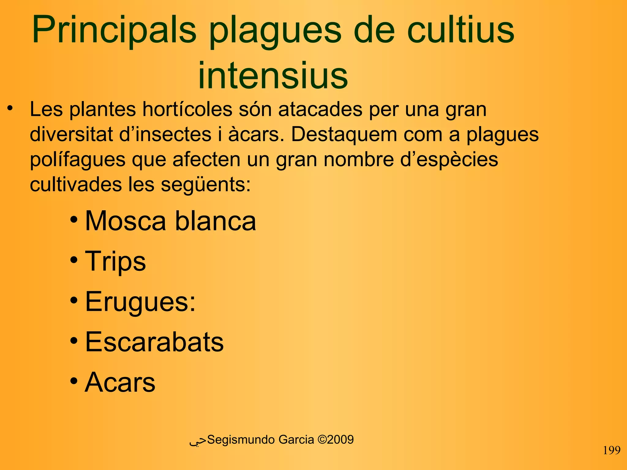 ﴀ Segismundo Garcia ©2009 Principals plagues de cultius intensius Les plantes hortícoles són atacades per una gran diversitat d’insectes i àcars. Destaquem com a plagues polífagues que afecten un gran nombre d’espècies cultivades les següents: Mosca blanca Trips Erugues: Escarabats Acars 