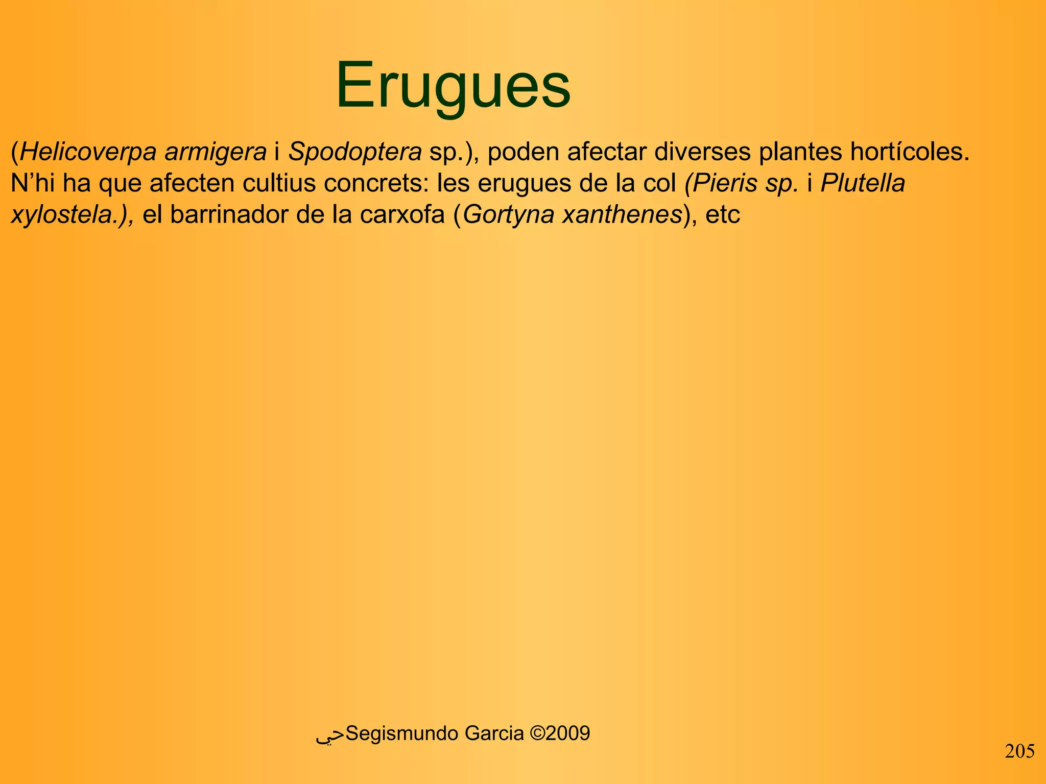 Erugues ﴀ Segismundo Garcia ©2009 ( Helicoverpa armigera  i  Spodoptera  sp.), poden afectar diverses plantes hortícoles. N’hi ha que afecten cultius concrets: les erugues de la col  (Pieris sp.  i  Plutella xylostela.),  el barrinador de la carxofa ( Gortyna xanthenes ), etc 