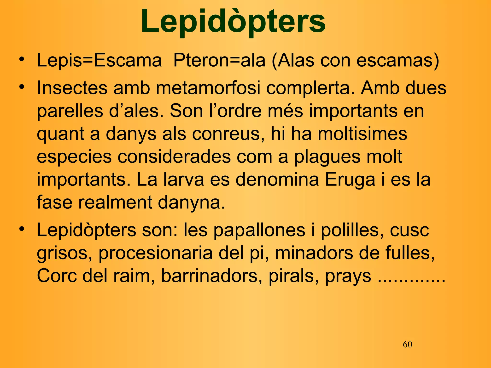 Lepidòpters Lepis=Escama  Pteron=ala (Alas con escamas) I nsectes amb metamorfosi complerta. Amb dues parelles d’ales. Son l’ordre més importants en quant a danys als conreus, hi ha moltisimes especies considerades com a plagues molt importants. La larva es denomina Eruga i es la fase realment danyna. Lepidòpters son: les papallones i polilles, cusc grisos, procesionaria del pi, minadors de fulles, Corc del raim, barrinadors, pirals, prays .............  