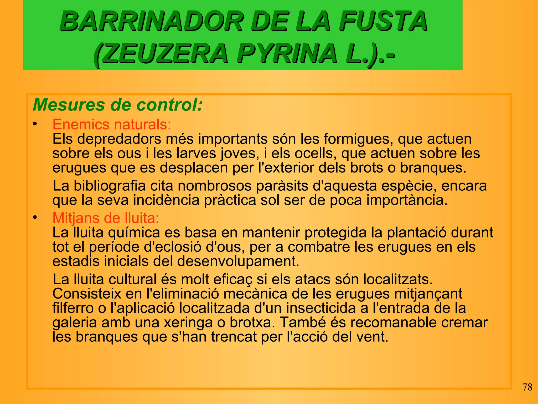 BARRINADOR DE LA FUSTA (ZEUZERA PYRINA L.).- Mesures de control: Enemics naturals: Els depredadors més importants són les formigues, que actuen sobre els ous i les larves joves, i els ocells, que actuen sobre les erugues que es desplacen per l'exterior dels brots o branques. La bibliografia cita nombrosos paràsits d'aquesta espècie, encara que la seva incidència pràctica sol ser de poca importància.  Mitjans de lluita: La lluita química es basa en mantenir protegida la plantació durant tot el període d'eclosió d'ous, per a combatre les erugues en els estadis inicials del desenvolupament. La lluita cultural és molt eficaç si els atacs són localitzats. Consisteix en l'eliminació mecànica de les erugues mitjançant filferro o l'aplicació localitzada d'un insecticida a l'entrada de la galeria amb una xeringa o brotxa. També és recomanable cremar les branques que s'han trencat per l'acció del vent. 