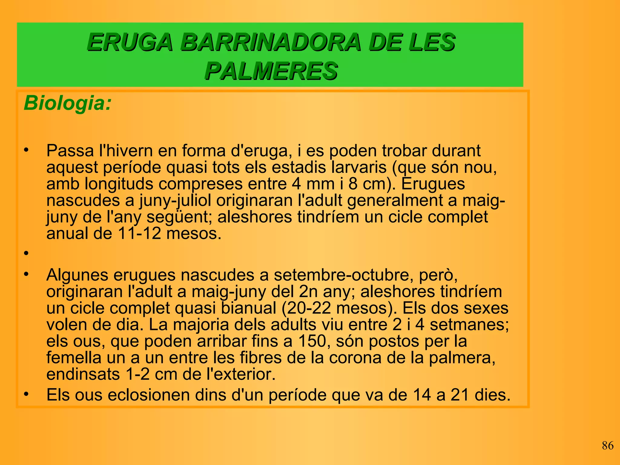 ERUGA BARRINADORA DE LES PALMERES Biologia: Passa l'hivern en forma d'eruga, i es poden trobar durant aquest període quasi tots els estadis larvaris (que són nou, amb longituds compreses entre 4 mm i 8 cm). Erugues nascudes a juny-juliol originaran l'adult generalment a maig-juny de l'any següent; aleshores tindríem un cicle complet anual de 11-12 mesos. Algunes erugues nascudes a setembre-octubre, però, originaran l'adult a maig-juny del 2n any; aleshores tindríem un cicle complet quasi bianual (20-22 mesos). Els dos sexes volen de dia. La majoria dels adults viu entre 2 i 4 setmanes; els ous, que poden arribar fins a 150, són postos per la femella un a un entre les fibres de la corona de la palmera, endinsats 1-2 cm de l'exterior. Els ous eclosionen dins d'un període que va de 14 a 21 dies.  