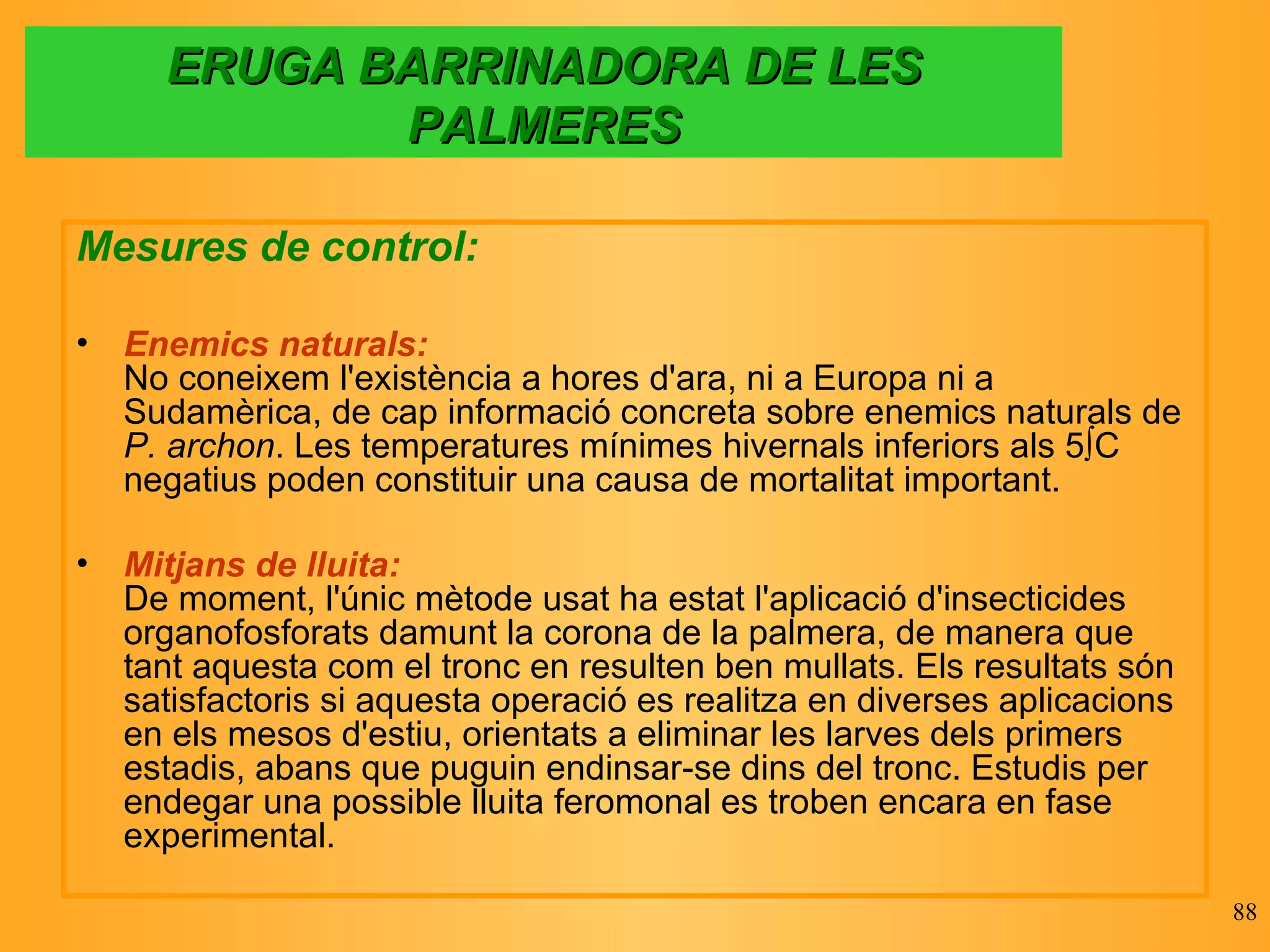 ERUGA BARRINADORA DE LES PALMERES Mesures de control: Enemics naturals: No coneixem l'existència a hores d'ara, ni a Europa ni a Sudamèrica, de cap informació concreta sobre enemics naturals de  P. archon . Les temperatures mínimes hivernals inferiors als 5ºC negatius poden constituir una causa de mortalitat important. Mitjans de lluita: De moment, l'únic mètode usat ha estat l'aplicació d'insecticides organofosforats damunt la corona de la palmera, de manera que tant aquesta com el tronc en resulten ben mullats. Els resultats són satisfactoris si aquesta operació es realitza en diverses aplicacions en els mesos d'estiu, orientats a eliminar les larves dels primers estadis, abans que puguin endinsar-se dins del tronc. Estudis per endegar una possible lluita feromonal es troben encara en fase experimental.  