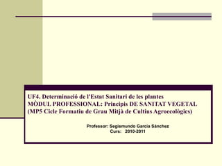 UF4. Determinació de l'Estat Sanitari de les plantes MÒDUL PROFESSIONAL: Principis DE SANITAT VEGETAL (MP5 Cicle Formatiu de Grau Mitjà de Cultius Agroecològics)   Professor: Segismundo García Sánchez Curs:   2010-2011 