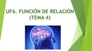 UF6. FUNCIÓN DE RELACIÓN
(TEMA 4)
 