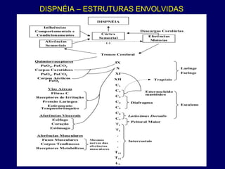 DISPNÉIA – ESTRUTURAS ENVOLVIDAS
 