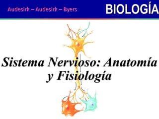 BIOLOGÍA
Sistema Nervioso: Anatomía
y Fisiología
Audesirk – Audesirk – Byers
 