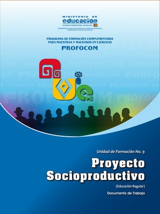 Proyecto
Socioproductivo
(Educación Regular)
 
